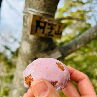 ピーク7  阿字山　いちごドーナツ美味しい😋
