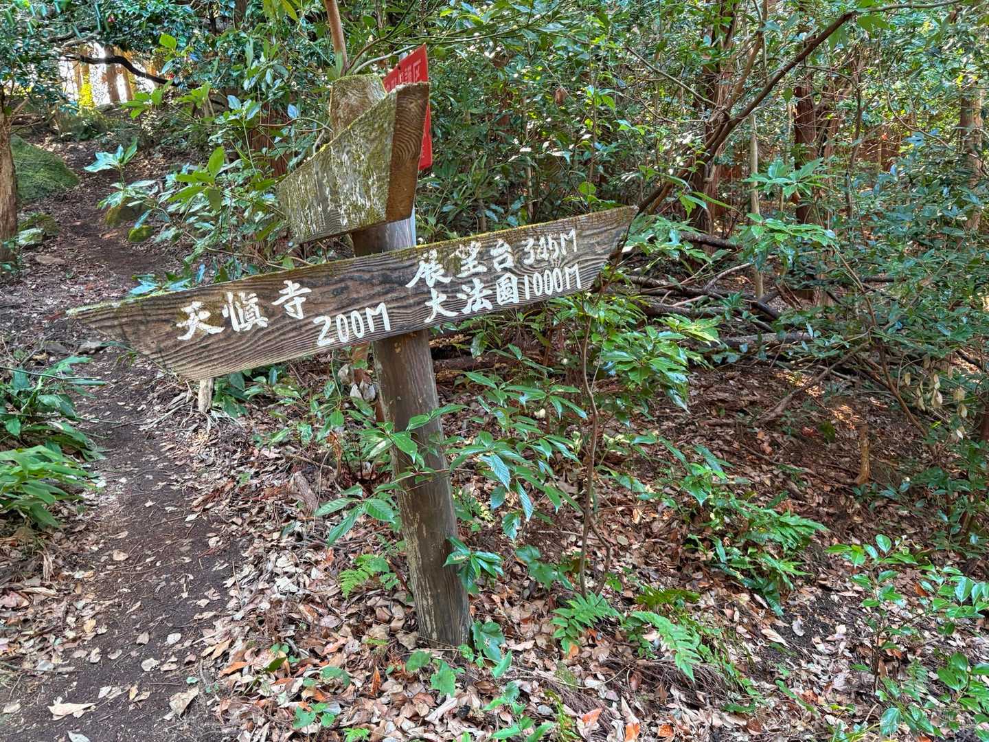 どっち行くか悩み。ちょっとウロウロ
右から下ると鬼子母神様→槍ヶ岳でした
(まず、下らず  岩が見えたので行ってみてから右へくだりました)