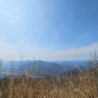 背の高い草が茂ってて見晴らしは良くない。