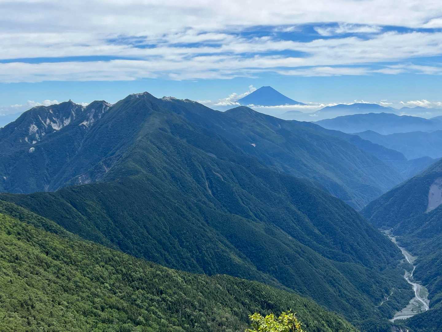 素晴らしい