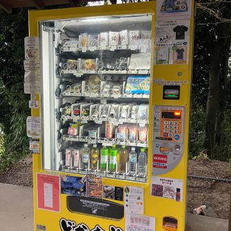 頂上の自販機