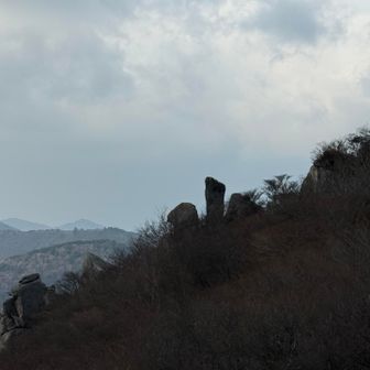 これも足に見えるよ〜って