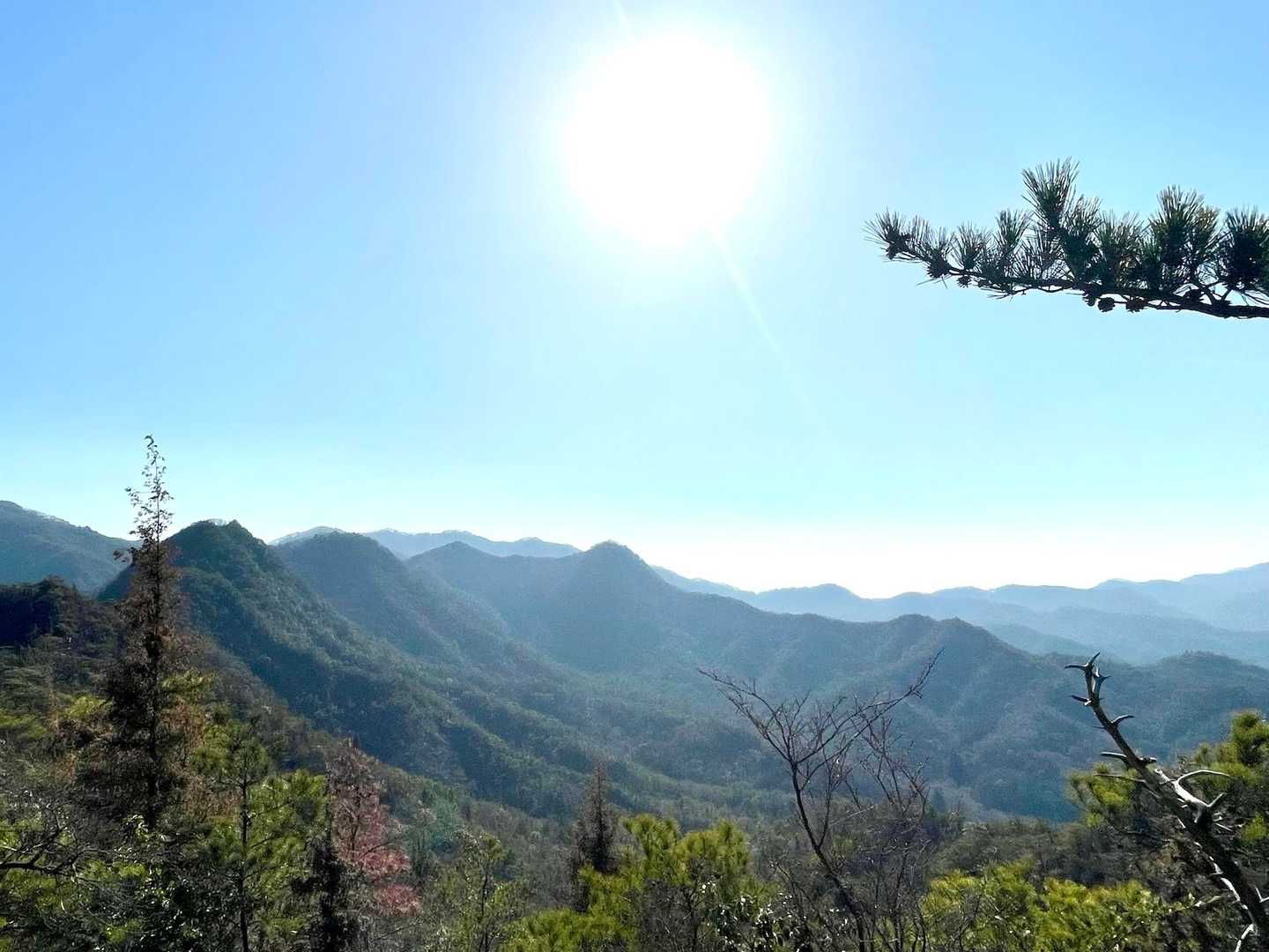 途中に良い景色✨️