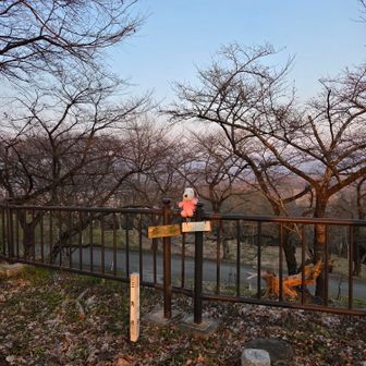 城山🗻
三角点🔺