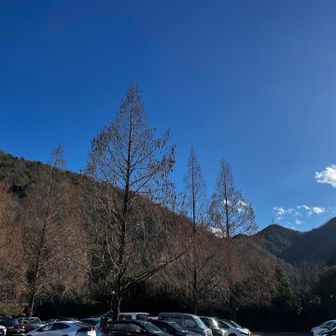 鳥たちも静かな百々ヶ峰でした☺️
まだ時間も早いので、前日行った各務野自然遺産の森へ移動🚙³₃