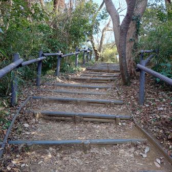 山頂へのアプローチ