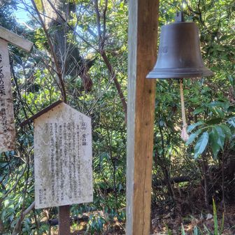 年甲斐もなく鳴らしました。