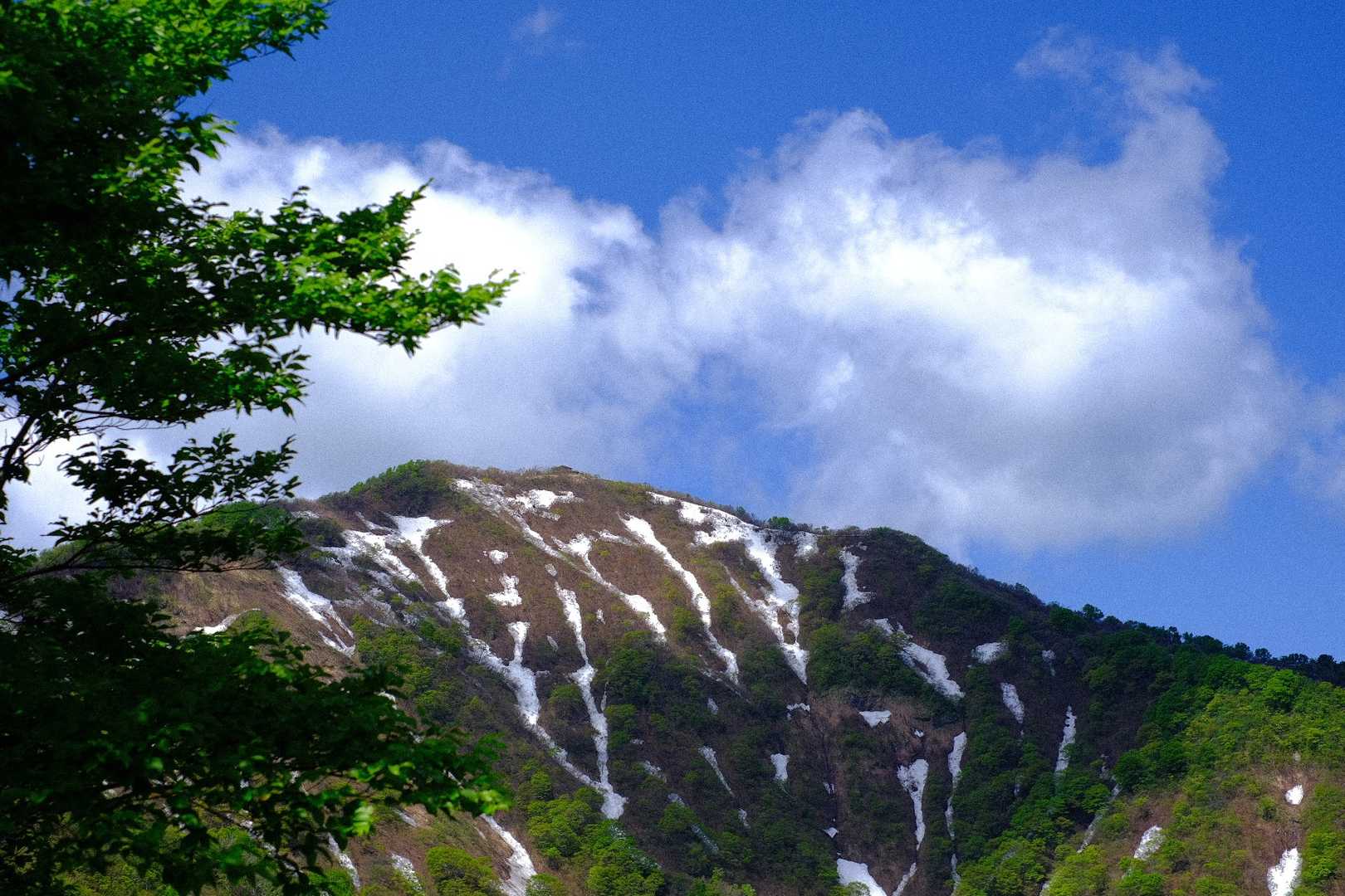 米山（谷根コース登山口）＜谷根コース＞の写真