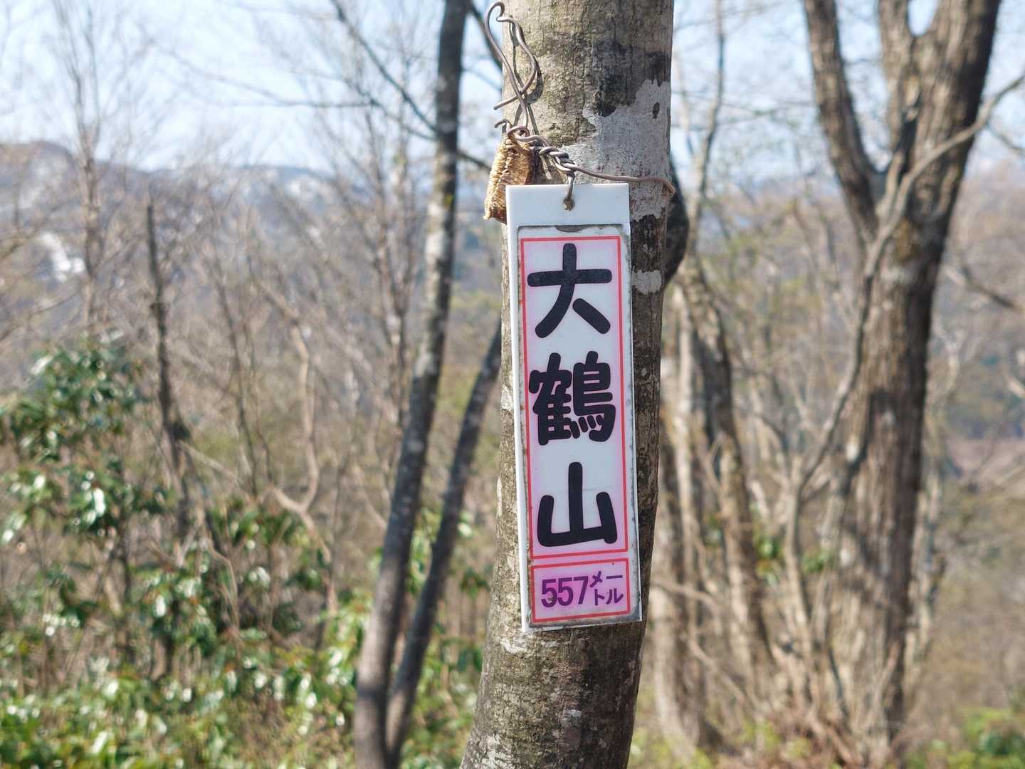 大鶴山🙌