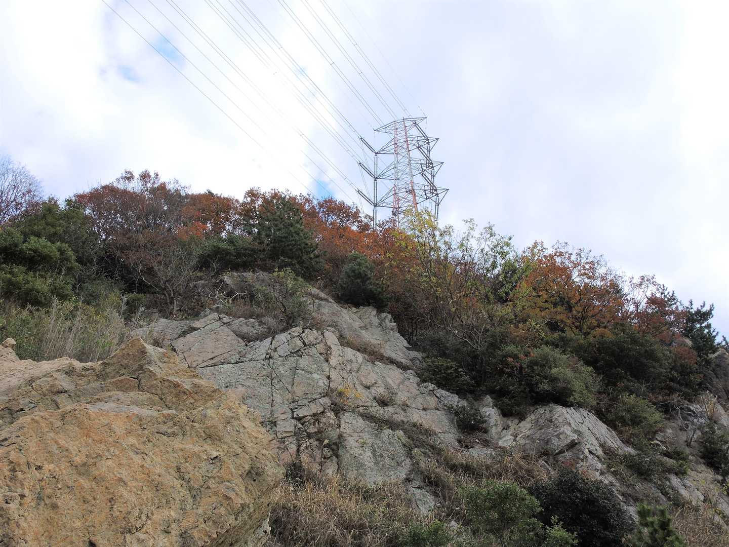 鉄塔を見上げると少し紅葉らしきものが残っています。🍂🍂