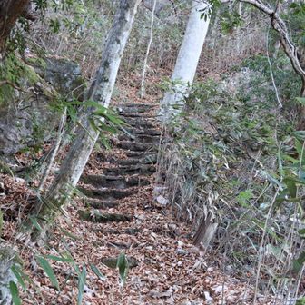 滝に沿ってさらに石段の急登を登ります。