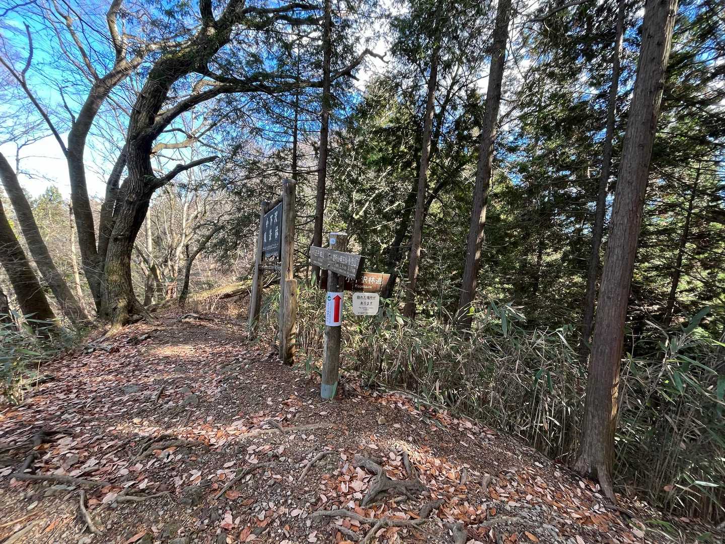 関場峠
ここから下る道もありました

小下沢景観林🌲🌲