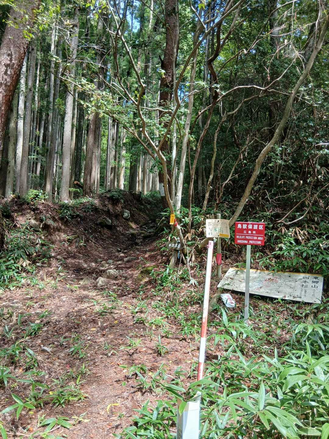 無事に下山しました。ありがとうございます。
