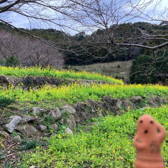 駐車場の近く。