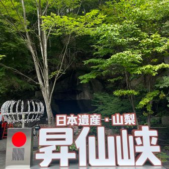 この手のやつ、漢字って珍しい。ローマ字だと長過ぎて置けないからかな😅