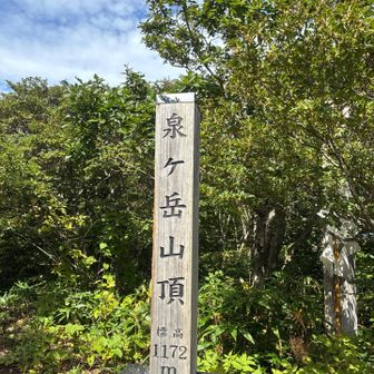 はい、山頂。標高1,172M。