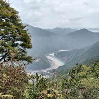 熊野古道 小辺路 結構登ってきましたね〜