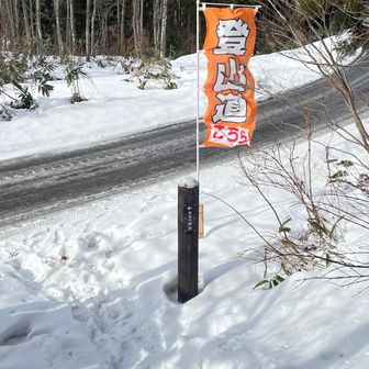 １０名くらいスライドしたかな？
下山時は雪質が悪くなってしまい踏み抜き多発で疲れた
