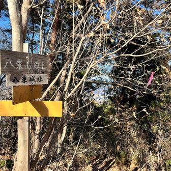 八束城址に到着