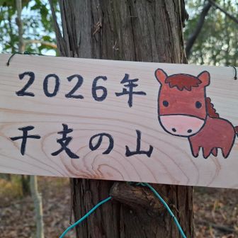 ２０２６年  干支の山🐴