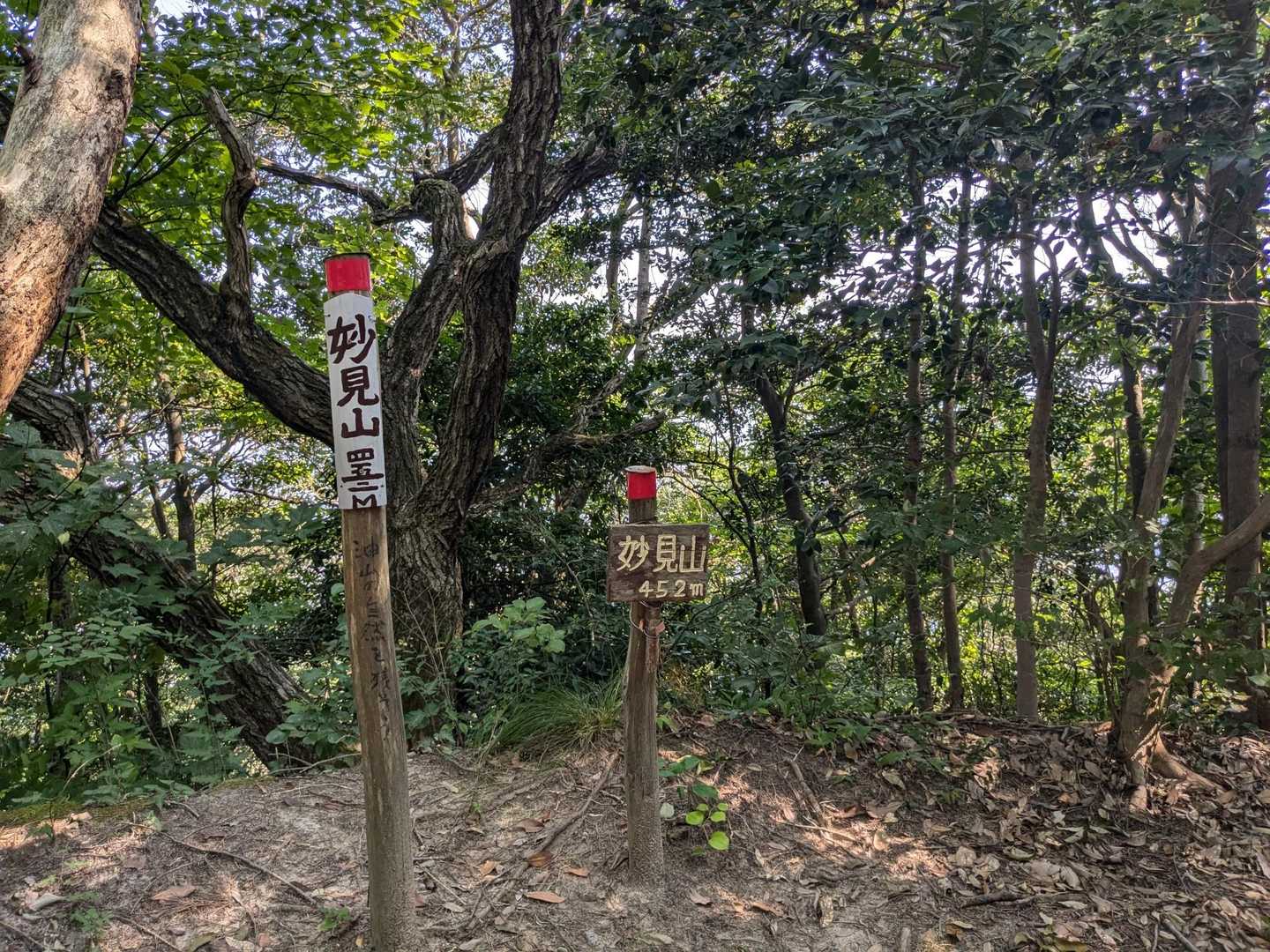 妙見山　
今日は、ここで折り返し