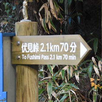 ここから、スタート