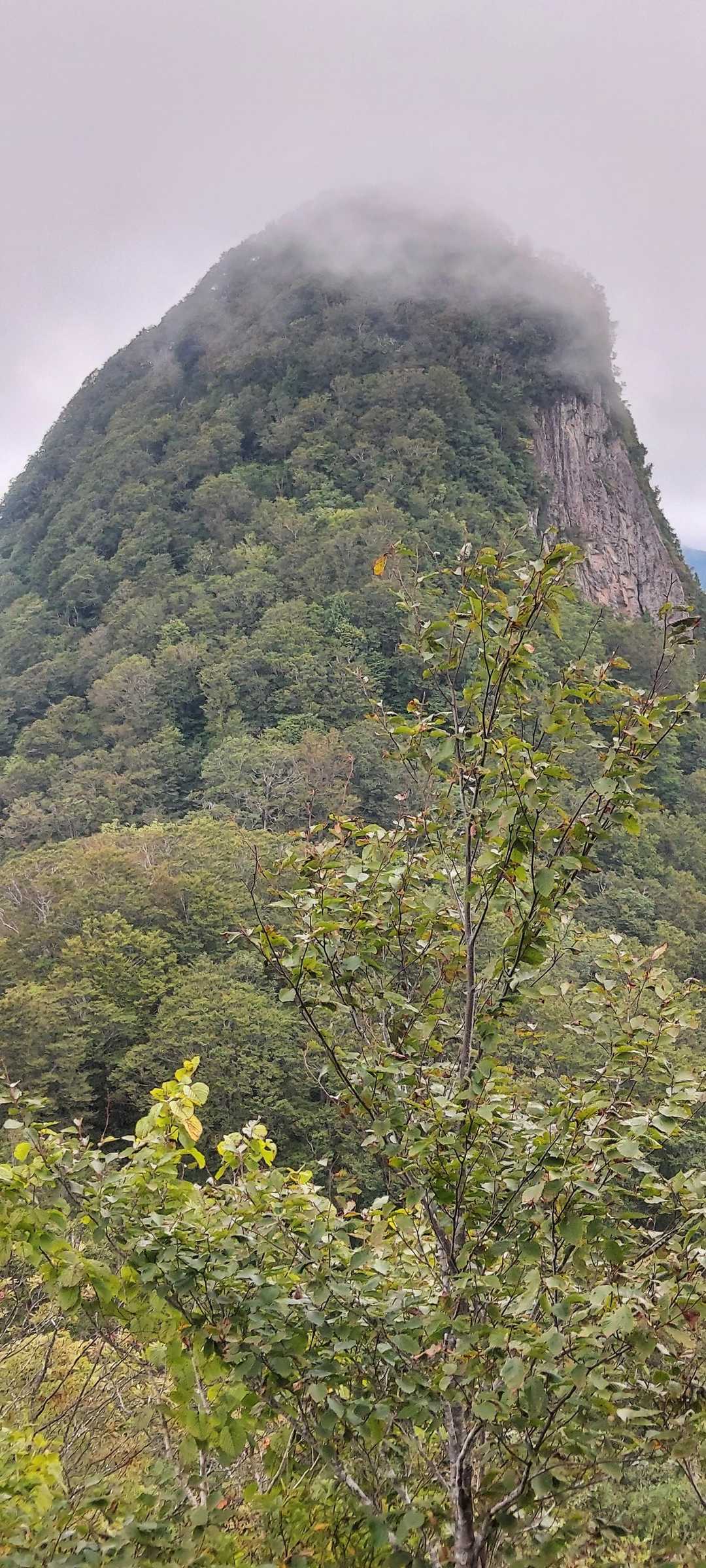 女甑山から男甑山に向かいました。
途中で後ろを見たらこんな素敵な女甑山が見えました🎵