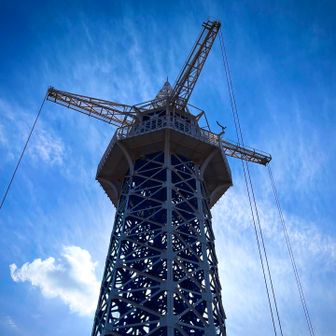 逆光だとアート作品みたい