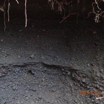 火山灰の層が見える。