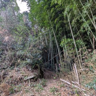最終民家の入り口手前を右に少し下りた登山道(薮っぽい)を進み途中、左に開けた所から登山道を外れ登ると作業道に出た。この作業道を突き当りまで歩くと写真の登山口に出る。