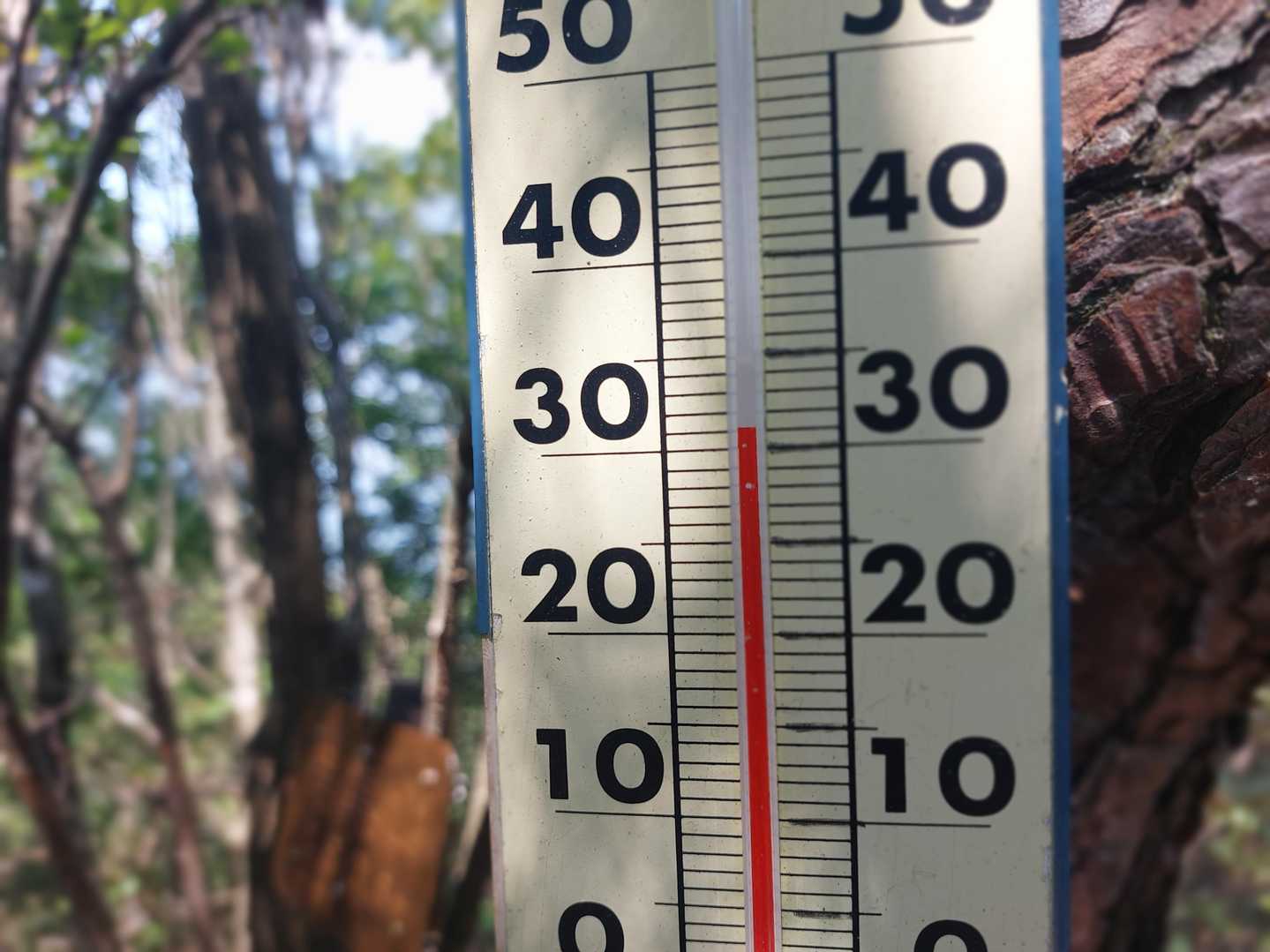 31度もある。
下界は今日も猛暑らしく35度だったらしい