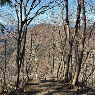 グレーピーク🩶月居山前山⛰️こちらは落ち葉で見晴が良い