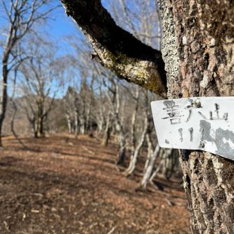 尾根に上がり
善六山