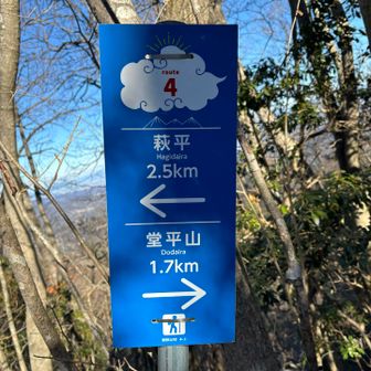 可愛い標識⚐⚑﻿