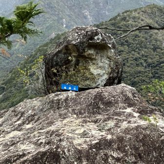 登り切ったところにあったのが…

亀岩じゃないな…

亀◯岩…？

ソッチの亀の方かよ！！！