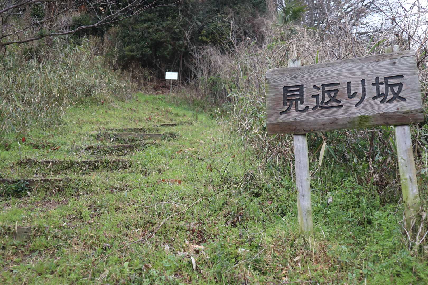 七宝山-赤道登山口 往復コースの写真