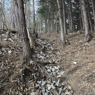 枯葉散りしく道を上り詰めると…