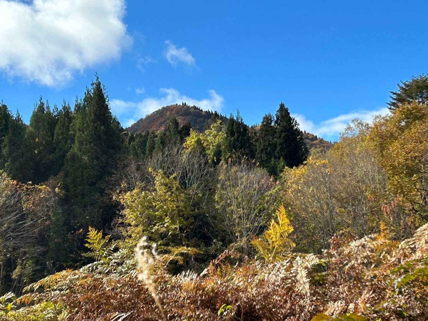 美しい山でした
あら〜晴れてる☀️