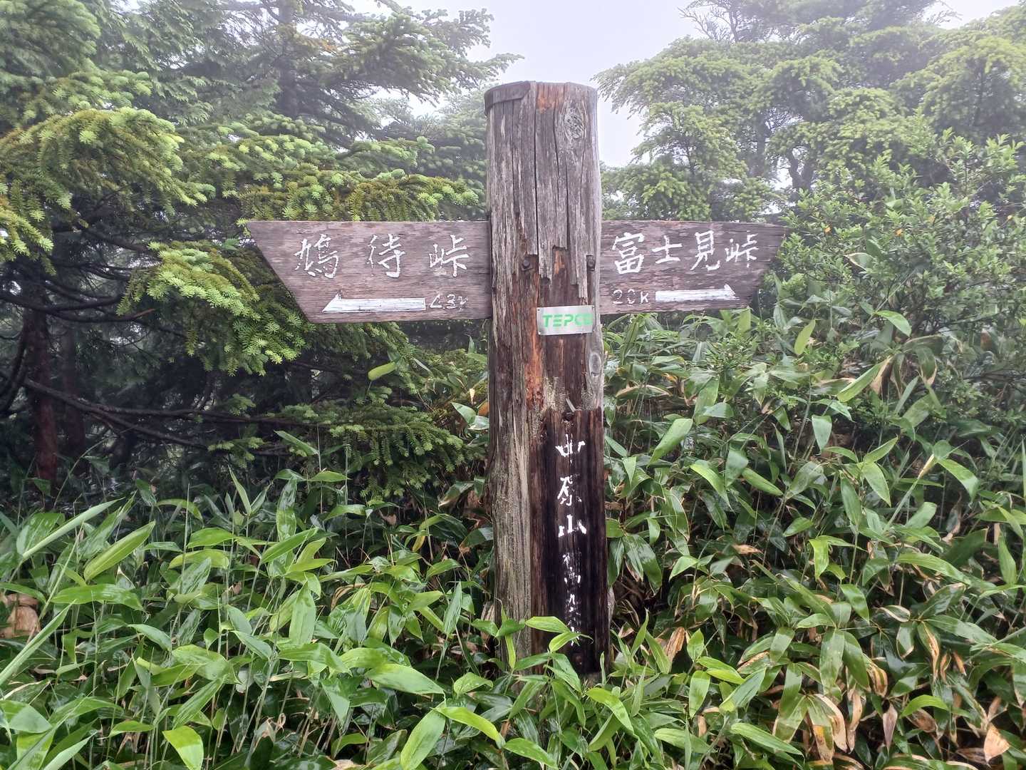 中原山🎵初登頂🎵