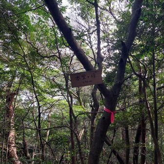 本堂が峰
