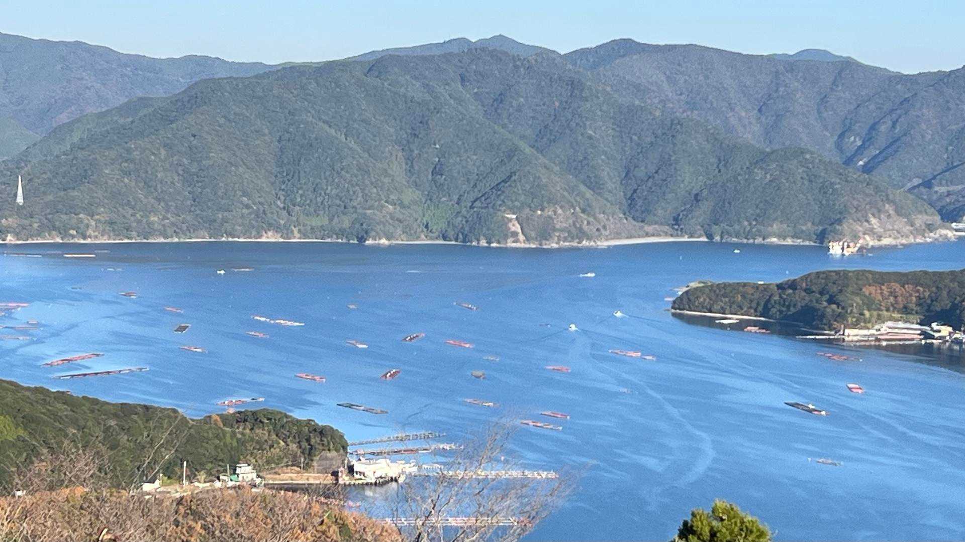 模様入りの水色の海も良いなぁ～👍🏻✨
