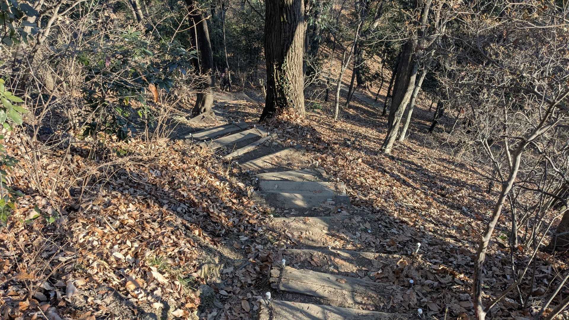 急坂もあります。

侮れない