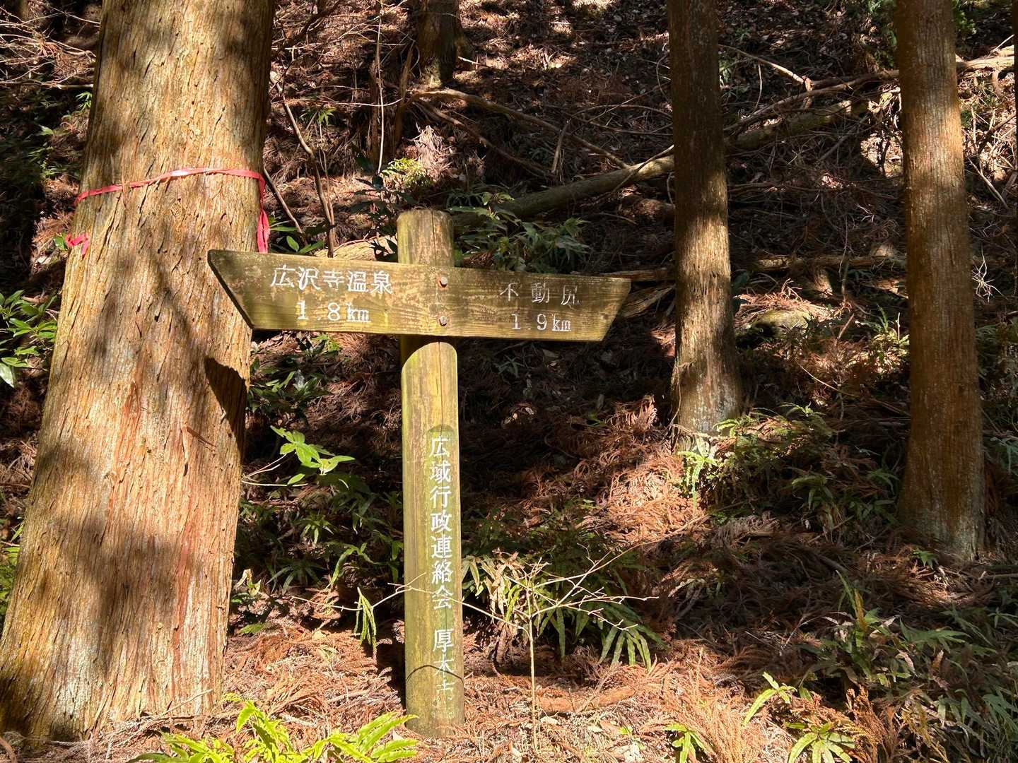 不動尻まであと半分🚶‍♀️