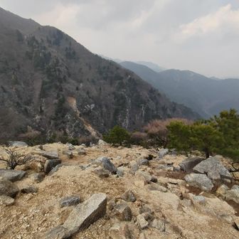 鈴鹿楽しめました😊