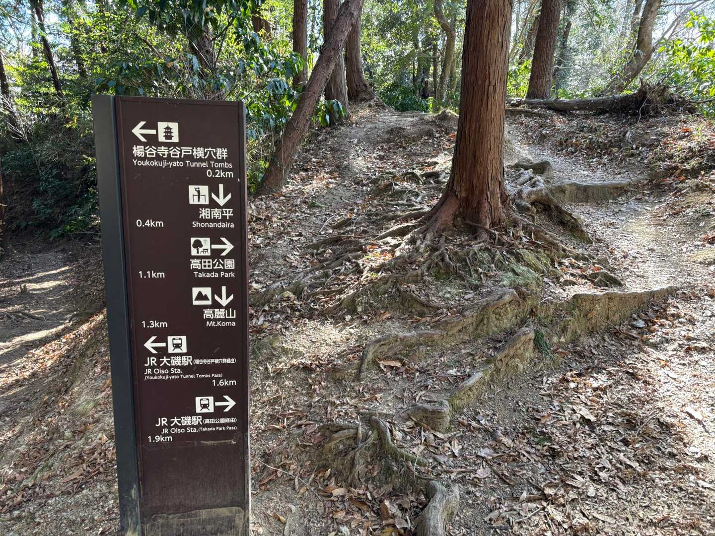 横穴群を見に行ってみる