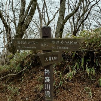 山頂まであと少し。