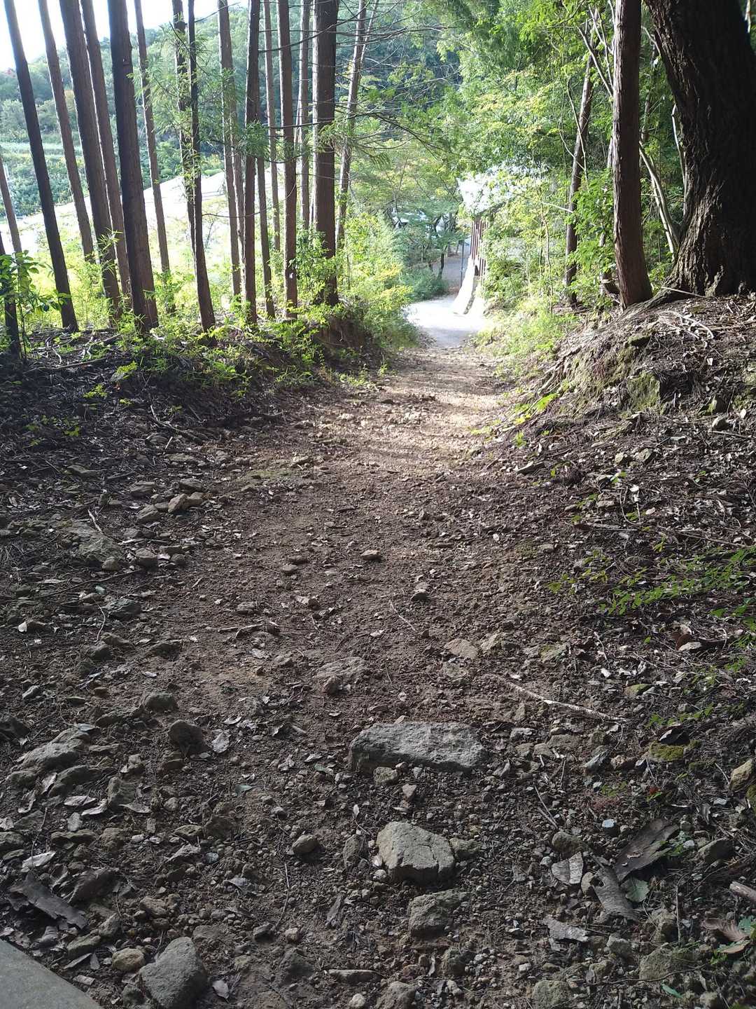 羽束山 往復コースの写真