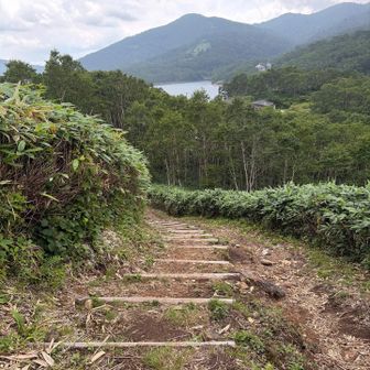 野反湖が見えた