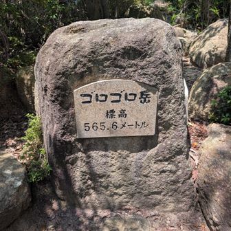 標高565.6（ごろごろ）メートル