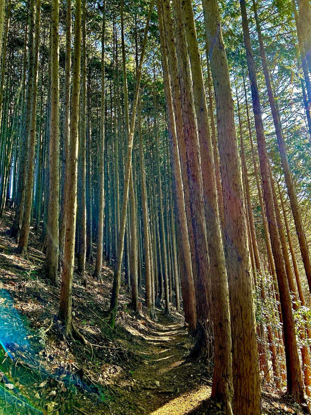 では次へ進みます🚶
素敵な道を歩きます👌